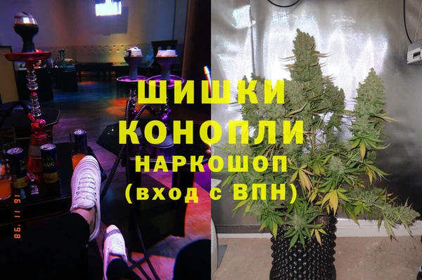 дурь Богданович